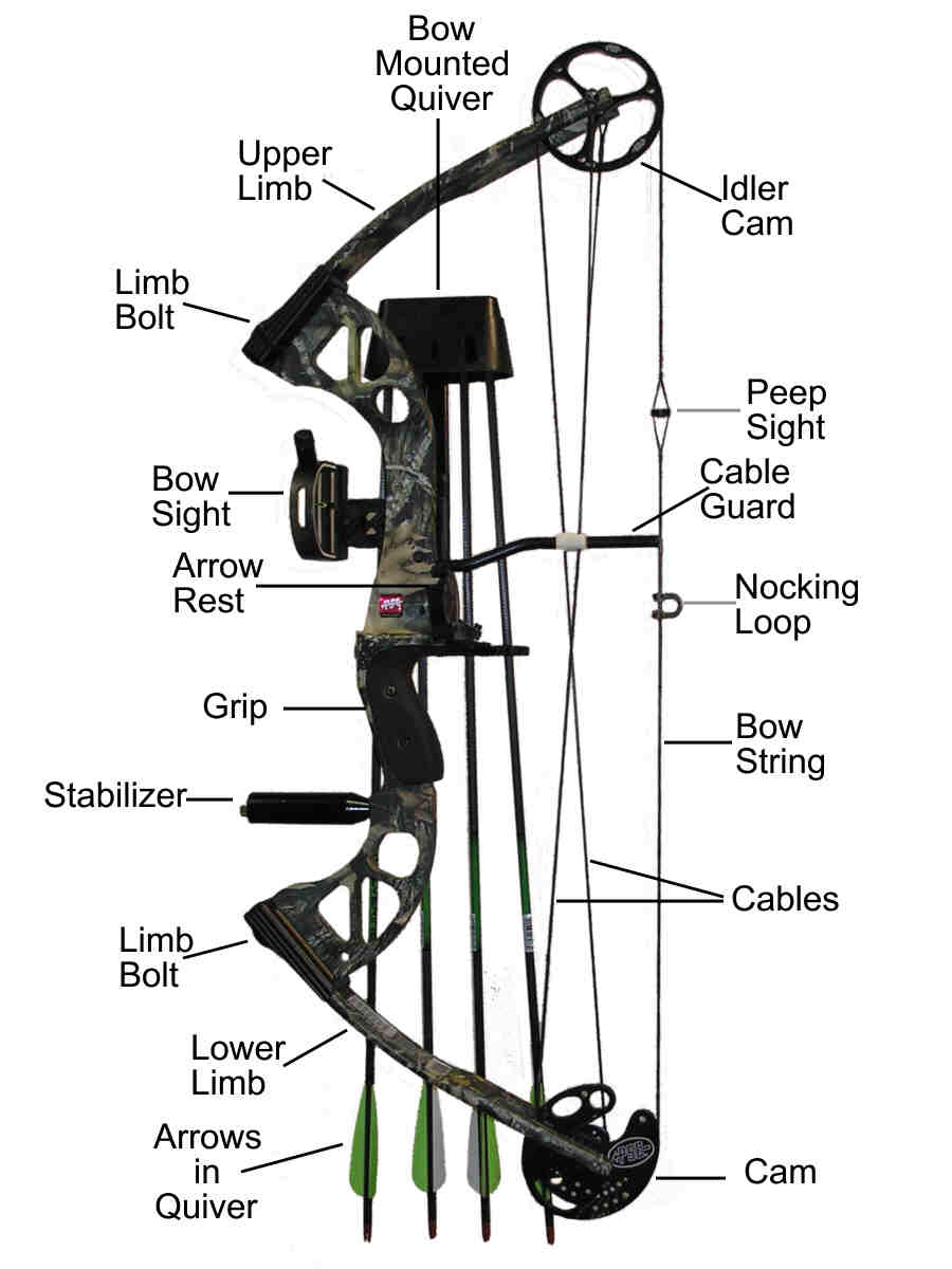 The compound bow and its parts